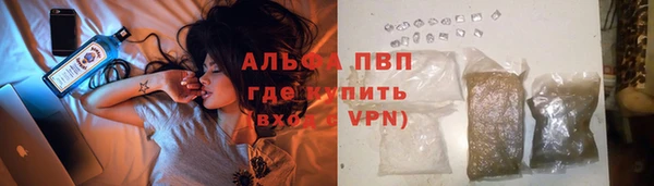 spice Арсеньев