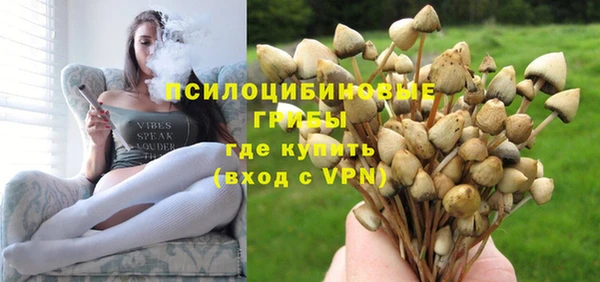 молекула духа Армянск